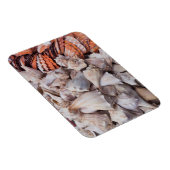 Key West, seizoenshells Magneet (Rechterzijde)