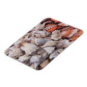 Key West, seizoenshells Magneet (Linkerzijde)