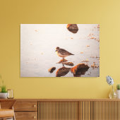 Key West Shorebird Reflectie Florida Keys Canvas Afdruk (Insitu (Woonkamer))