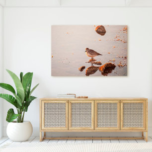 Key West Shorebird Reflectie Florida Keys Canvas Afdruk