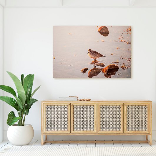 Key West Shorebird Reflectie Florida Keys Canvas Afdruk