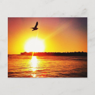 Key West Sunset Briefkaart