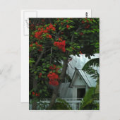 KeyWest Tin Room Post Card Briefkaart (Voorkant / Achterkant)