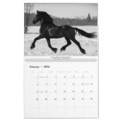 KFPS Friesian Stallion Calendar Kalender (Feb 2026)