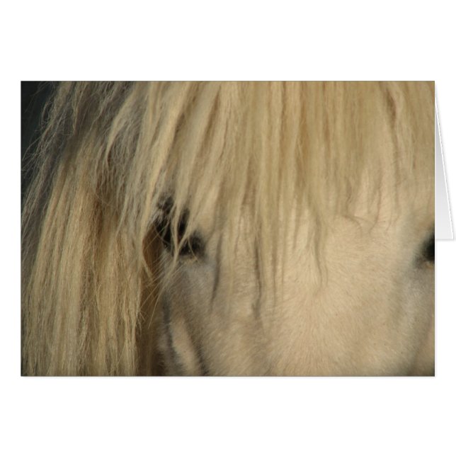 Khalif (Voorkant Horizontaal)