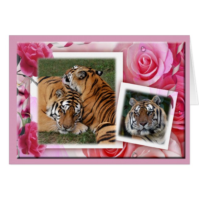 Khan-00100-65x45 (Voorkant Horizontaal)