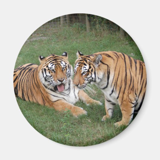 khan-n-china009 magneet (Voorkant)