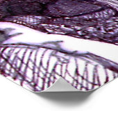 Khartoum 2 - Poster (Coin)