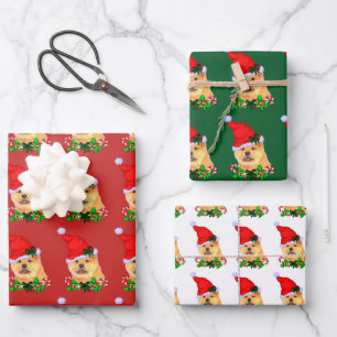 Khow met kerst inpakpapier vel