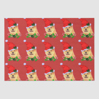 Khow met kerst tissuepapier