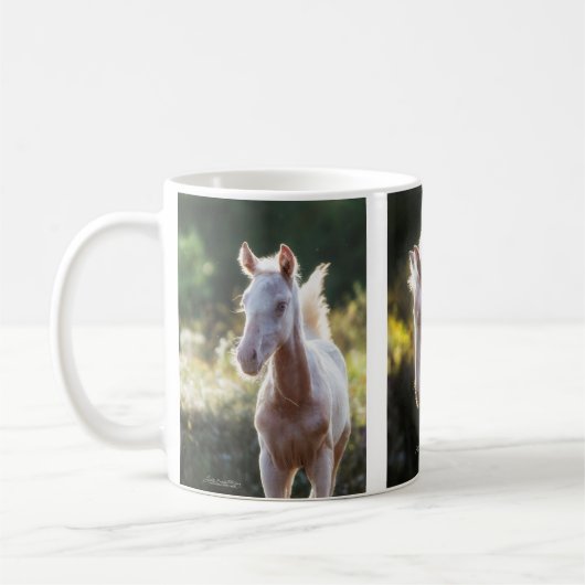 Ki Cremello Thoroughbred Colt Koffiemok (Links)