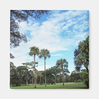 Kiawah Island-magneet Magneet