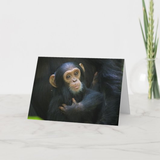 Kibale Chimpanzee - Carte de voeux pour nourrisson (Devant)