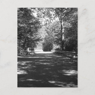 Kickapoo State Park Bridge Briefkaart