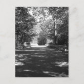 Kickapoo State Park Bridge Briefkaart (Voorkant)