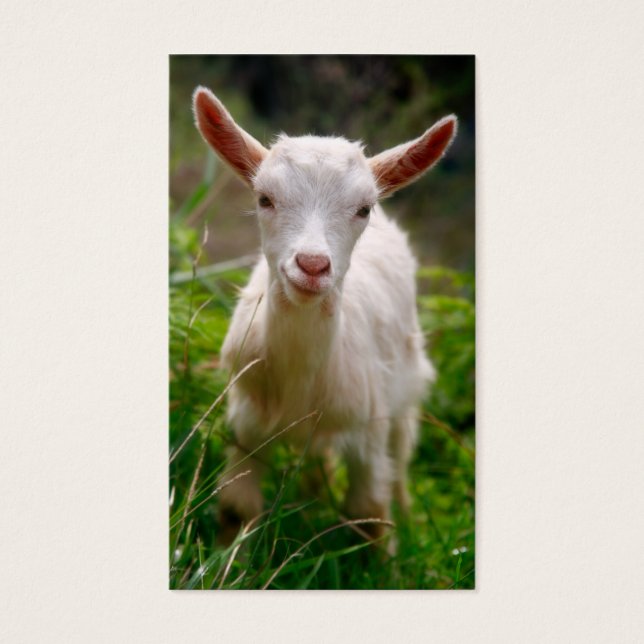 Kid Goat (Devant)