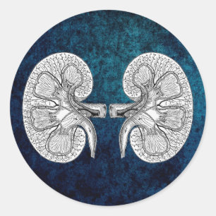 KIDNEY 2 TEKENEN RONDE STICKER