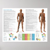 Kidney Meridian Acupuncture Points Poster (Voorkant)