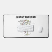 Kidney Nephron Gray's anatomie Bureaumat (Keyboard & Muis)