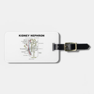 Kidney Nephron (Grey's Anatomy Book) Bagagelabel