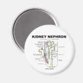 Kidney Nephron Magneet (Voorkant / Achterkant)