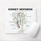 Kidney Nephron Muismat (Met muis)