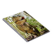 Kids dinosaur notebook notitieboek (Rechterzijde)