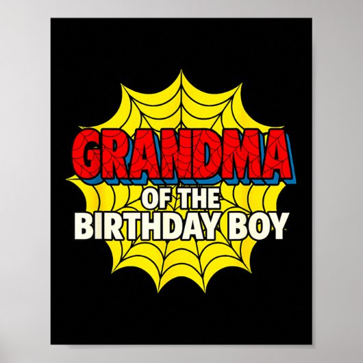 Kids Grandma Of The Birthday Boy Sder Theme Party Poster (Voorkant)