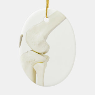 Kiegewrichtmodel van het menselijk been keramisch ornament
