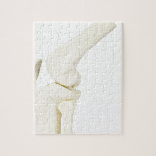 Kiegewrichtmodel van het menselijk been legpuzzel