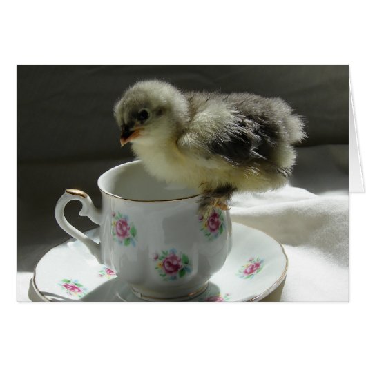 Kies een Teacup (Voorkant Horizontaal)