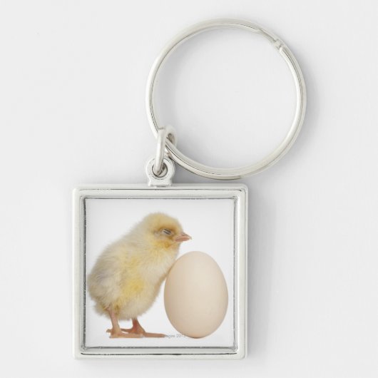 Kies met ei (2 dagen oud) sleutelhanger (Voorkant)