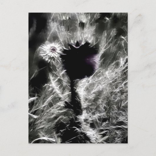 Kies mij briefkaart (Voorkant)