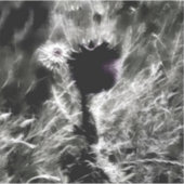 Kies Mij Sticker (Voorkant)