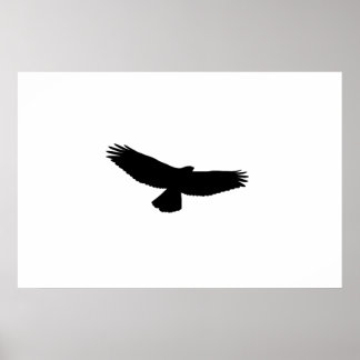 KIES UW ACHTERGRONDKLEUR! Black-Red-Tail Hawk Poster