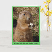 Kies voor een goede gopher kaart (Gele Bloem)