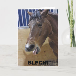 Kies voor een Well Card: Paard ZWART! Kaart