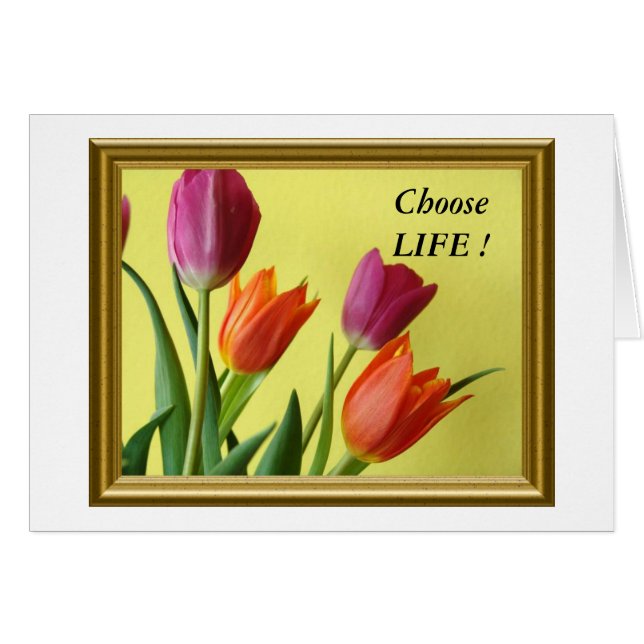 KiesLife! (Voorkant Horizontaal)