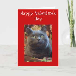 Kietelend gevoelens feestdagen kaart