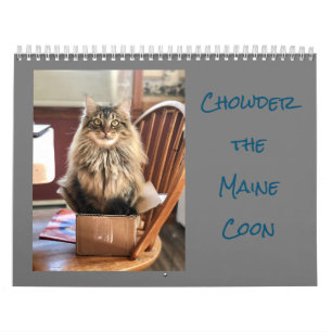 Kiezen voor de Maine Coon Calendar Kalender