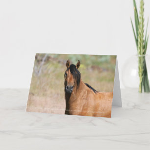 Kiger Stallion Wenskaart Kaart