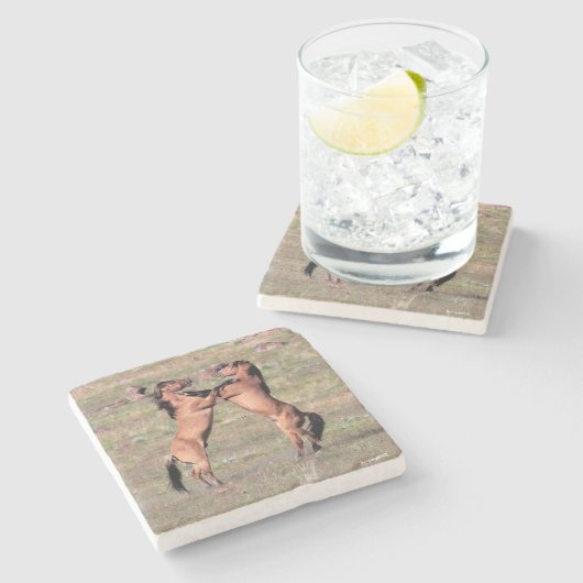 Kiger Wild Onderzetters (Zijkant)