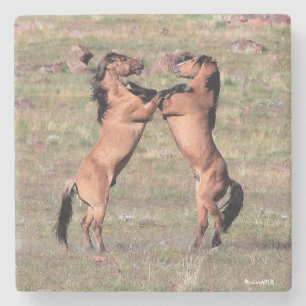 Kiger Wild Onderzetters