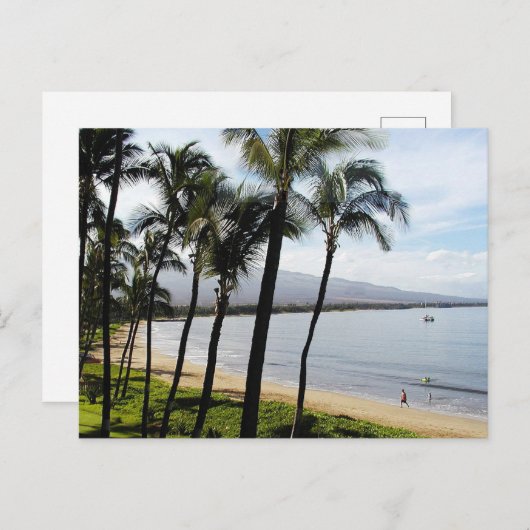 Kihei Maui Hawaii Beach Palms Feestdagenkaart (Voorkant / Achterkant)
