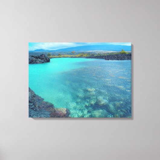 Kiholo Bay Hawaii capturé pittoresque impression d (Recto)