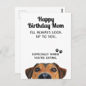 Kijk altijd naar jou op Leuk Gelukkig Verjaardag M Briefkaart (Voorkant / Achterkant)