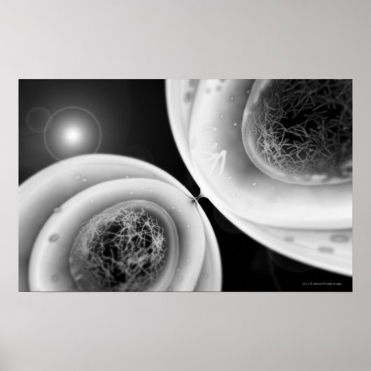 Kijk dicht bij celdeling poster (Voorkant)