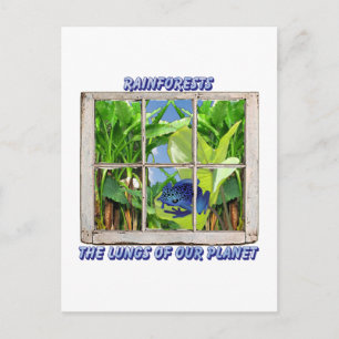 Kijk door elk venster briefkaart