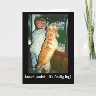 Kijk eens. Een andere verjaardag gaat je kant op. Kaart