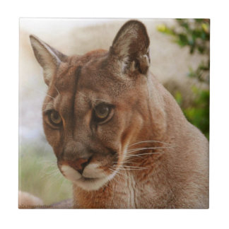 Kijk eens naar dat gezichtspunt tegeltje